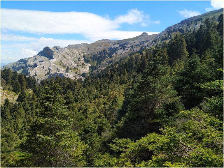 ADEITUR consigue la GESTIÓN del Plan de Sostenibilidad Turística en Destino «Sierra de la Sierra de las Nieves, Parque Nacional»